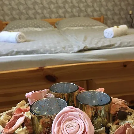 홈스테이 Megyehaz Makó