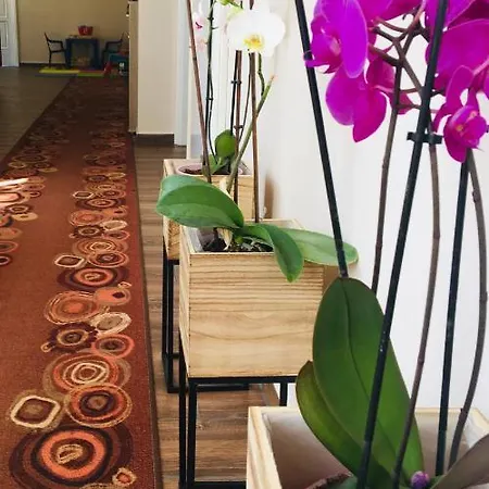 Megyehaz Homestay Mako