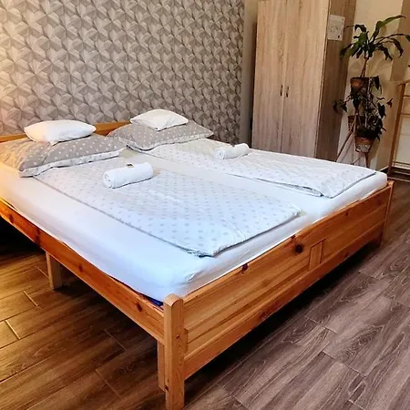 Homestay Megyehaz *